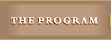 the program