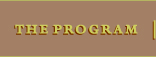 the program